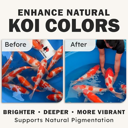 HARUTO Koi Food Color Enhancer 11lb – Floating Pellets with Spirulina & Astaxanthin, Appearance-Focused Formula, Daily Feeding for Koi Fish Ponds - Image 4