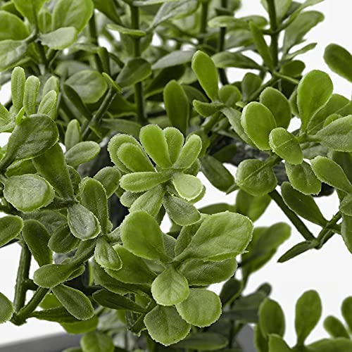 Ikea FEJKA Artificial Potted Plant with Pot, in/Outdoor Bonsai: Buy Online  at Best Price in UAE - Amazon.ae