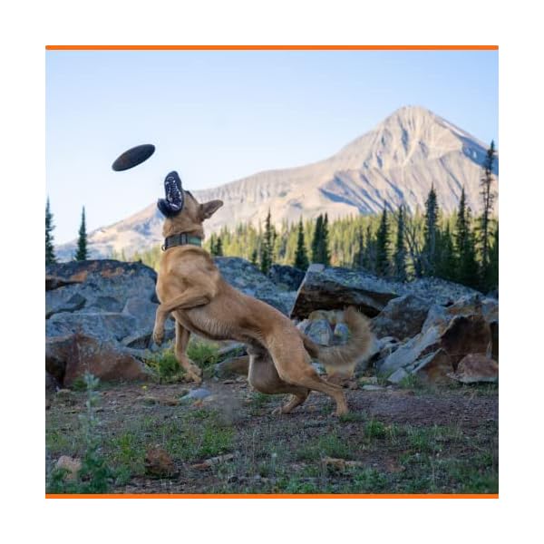 Ultra Durable Flying Disc for Dogs