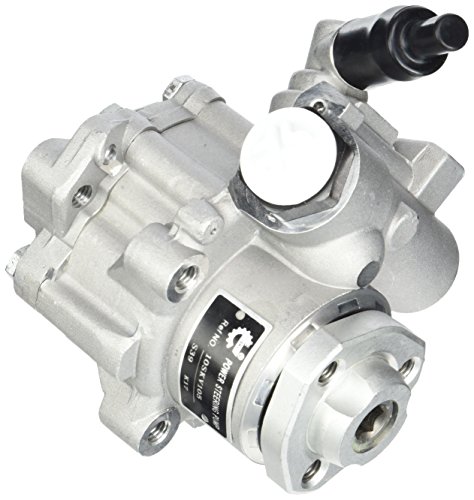 Esen SKF 10SKV105 Power Steering Pump