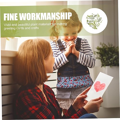 SEWACC 1 Material De Gravação De Flores Secas Artesanato De Flores Secas Folhas Portáteis Folhas Pre