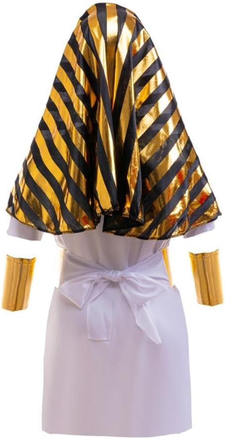 Dressy Daisy Ancient Egyptian Pharaoh Costume Set with Accessory for Toddler Kids Boys Halloween Dress up Outfit Size 4T - 12