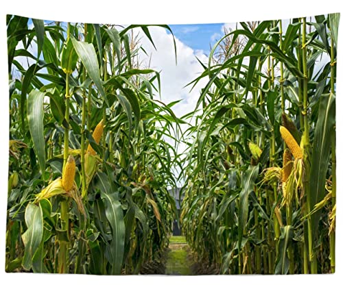 Fondo Fotográfico BELECO 8x6ft de Tela con Estampa Campos de Maíz miniatura 4