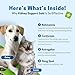 Pet Wellbeing Kidney Support Gold for Dogs - Supports Healthy Kidney Function, Fluid Balance, Energy Levels, Rehmannia, Dong Quai - Veterinarian-Formulated Herbal Supplement 4 oz (118 ml)