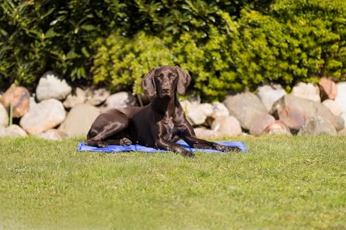 TRIXIE Kühlmatte für Hunde und Katzen - XL: 90 × 50 cm - kühlt für Stunden nur durch Körperkontakt - abwischbar - blau - 28686