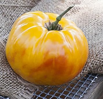 Grandma Vineys Yellow and Pink Heirloom Tomato Premium Seeds for Planting Packet