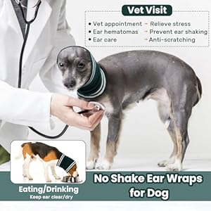 Nanaki Dog Ear Covers for Noise Bath No Shake Ear Wraps for Dogs Hematoma Dog Fireworks Anxiety Relief Calming Hoodie Dog Grooming Ear Cover Quiet Dog Head Wrap Force Drying Thunderstorm Ears for Dogs  Cucciolini Doodles Nanaki dog ear covers for noise bath no shake ear wraps for dogs hematoma dog fireworks anxiety relief calming hoodie dog grooming ear cover quiet dog head wrap force drying thunderstorm ears for dogs   cucciolini doodles