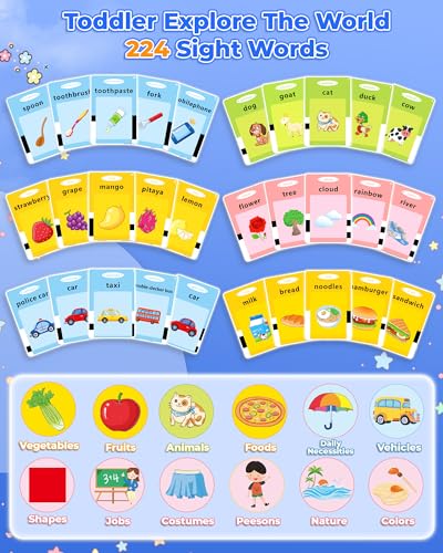 Sensory Toys for Autistic Boys: Speech Therapy Flash Cards & Gifts