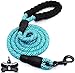 Correas para Perros, con Mango Acolchado Suave y Hilos Altamente Reflectantes, 1,5m de Longitud Nylon Correa de Perro para pequeños, medianos y Perros Grandes (Azul)