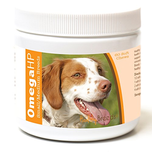 Image of Healthy Breeds Brittany Omega HP Fatty Acid Skin and Coat Support Soft Chews 60 Count