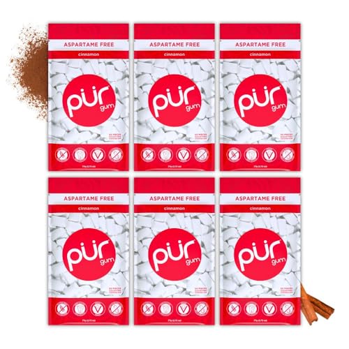 Image of PUR Gum | Aspartame Free Chewing Gum | 100% Xylitol | Natural Cinnamon Flavored Gum, 55 Pieces (Pack of 6)