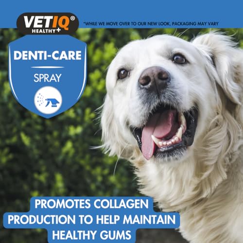 VETIQ Denti-Care Dental Spray for Dogs & Cats – No Brushing Required, Helps Reduce Oral Bacteria, Supports Gum Health, Freshens Breath with Pomegranate & Peppermint – 100ml - Image 5