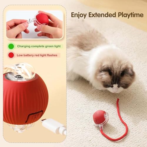 Image of Cat Toys Ball - Smart Rolling LED Ball, Automatic & USB Rechargeable Motion Activate for Indoor Kitten Puppy Dog cat- Pet Exercise, IQ Training, Fun & Engaging Pet Toy