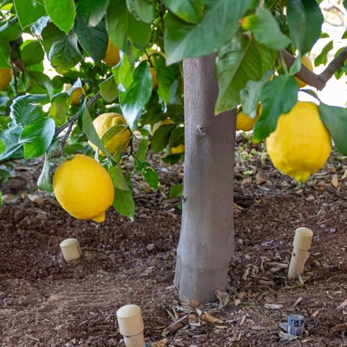 UV-Protected 24-inch Tan DEEP DRIP Tree Watering Stake (3 Pack)