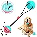 Pet Palla con Ventosa, Cane Giocattolo Palla, Giocattoli da Masticare per Cani, Multifunction Pet Molar Bite Toy, Rubber Ball Giocattolo Con Suction Cup Interactive Dog Toy For Teeth Cleaning (blu)
