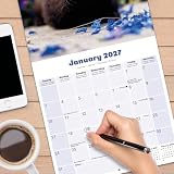 Avonside Fretki 2027 Kalendarz z Naklejkami Organizacyjnymi, 16-Miesięczny Kwadratowy Kalendarz Ścienny (wrz 2026 - gru 2027), Planer, 29,5 x 29,5 cm