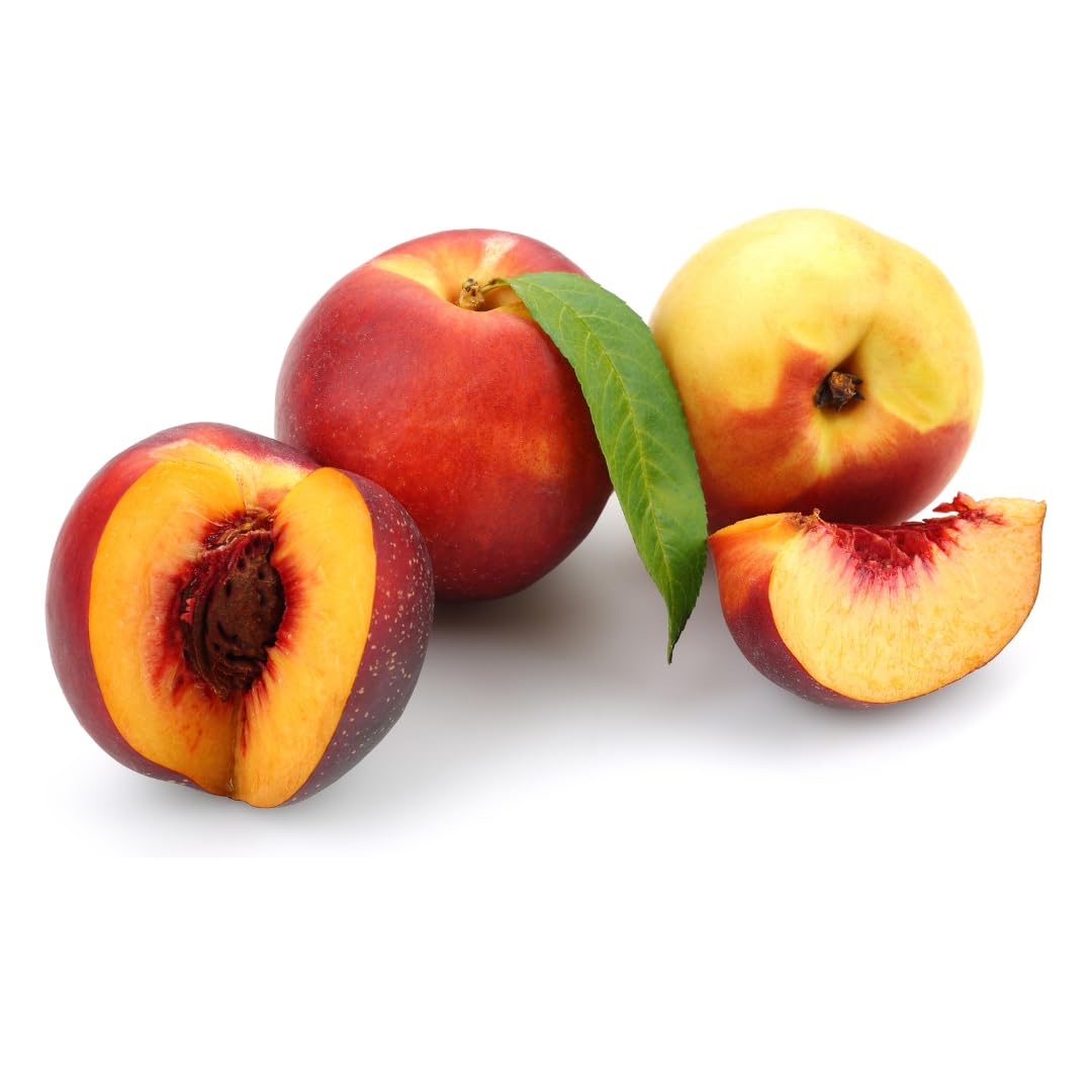 Pesco Pesche Nettarine a Polpa Gialla Maria Carla - Pianta da Frutto su Vaso ø 24/26 cm - Altezza 170~200 cm- Età 4 Anni