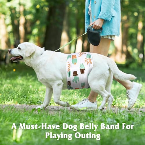 Image of 5 Pack Dog Diapers Male Reusable, Belly Bands for Male Dogs, High Absorbing Dog Pee Wraps for Doggie in Incontinence and Training Cactus XXL