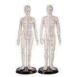 ✔ Flexibilität: Das Modell kann verschiedene Posen machen, Arme und Füße können um 360 ° gedreht werden, um die Akupunkturpunkte unter Arm und Füßen leicht zu beobachten, und der Arm kann beim Platzieren in die richtige Position gebracht werden! Erleichtern Sie das Erlernen der Meridiane und Akupunkturpunkte des Körpers.