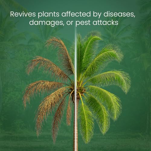 Image of Agrocare Plus Homeopathic Medicine to Revive Diseased And Damaged Trees And Plants For Maximum Yield, Suitable For Areca, Banana, Cardamom, Coconut, Fruits, And More (100 Gram),Powder