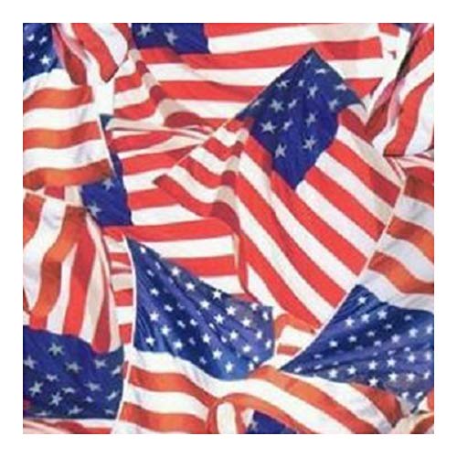 Hydrographics Film Water Transfer Printing Film Hydro Dipping Dip Film Hydrographic Film Linear Meter American Flag Hydrographics Film
