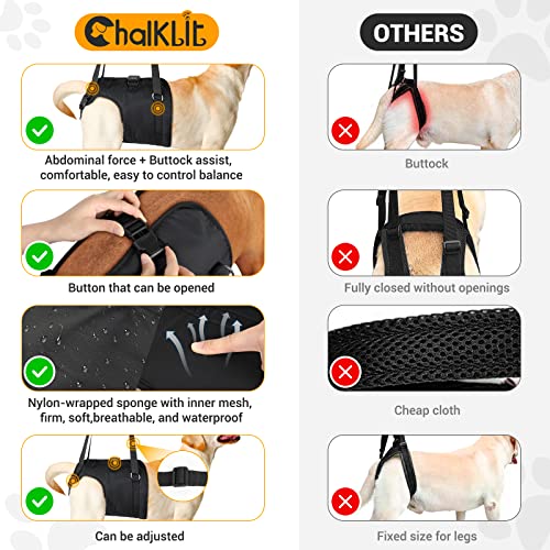 Dog Lift Harness Dog Sling For Large Dogs Hind Leg, Dog Support Harness For Rear Legs Help Rehabilitate The Hind Limbs Of Elderly Dogs With Weak Hind Legs Disabilities And Injuries Dog Support Harness #TOP3