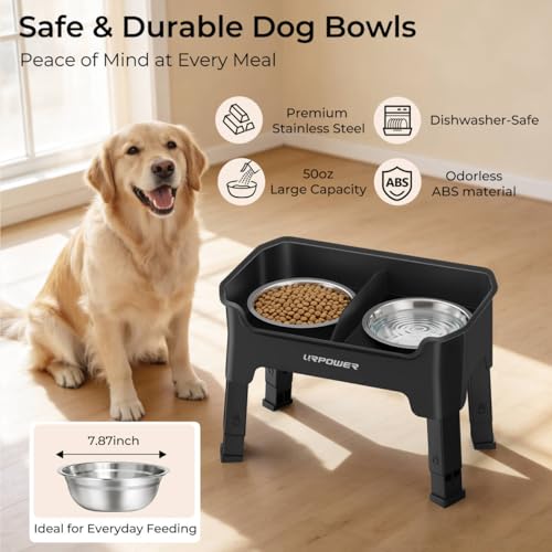 URPOWER Mess Proof Elevated Dog Bowls, High Wall Splash Guard Design, 4 Height Adjustable Raised Bowl Stand, 2 Stainless Steel Bowls, Non-Slip Food Water Set for Small Medium Large Dogs - Image 6