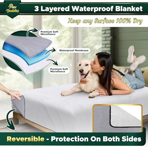 Set-of-2-Waterproof-Blanket-Cover-70x90-for-Adult-Dog-Cat-or-Any-Pet-100-Waterproof-Furniture-Couch-or-Mattress-Protector--for-Twin-Queen-King-Beds-Car-Dog-Blanket - Cucciolini Doodles   Set-of-2-Waterproof-Blanket-Cover-70x90-for-Adult-Dog-Cat-or-Any-Pet-100-Waterproof-Furniture-Couch-or-Mattress-Protector--for-Twin-Queen-King-Beds-Car-Dog-Blanket