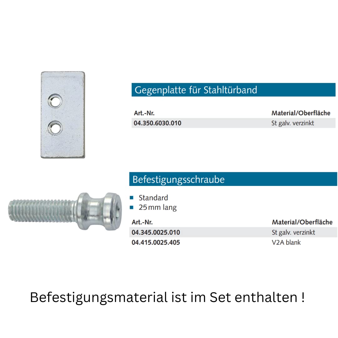 WSS Stahltürband 2-teilig Drehpunkt 25/Achse 92 – Art.-Nr. 04.300.2592.010 | galvanisch verzinkt, für Stahltüren & Stahlzargen, robuste Ausführung für hohe Türgewichte, DIN rechts/links verwendbar