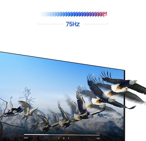 Samsung Écran PC Plat ViewFinity - S61B 27'', Résolution 2560x1440 QHD, Dalle IPS, HDR10, AMD FreeSync, 75Hz, Installation One Click, Orientable, Inclinable, Support Mural VESA, Ports HDMI et DP