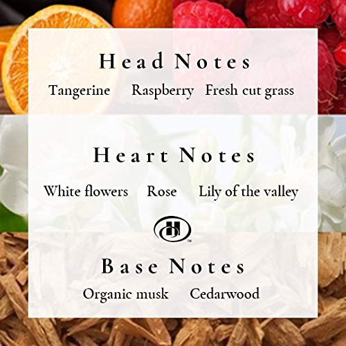Take me to \'Hilton\' Hotel Inspired Reed Diffuser Set| Reed Diffuser Sticks with Oil 1.6oz| Scented Sticks with Notes of Tangerine, Raspberry & Cedarwood| Oil Sticks for Bathroom & Home Fragrance Gift - Thumbnail 2