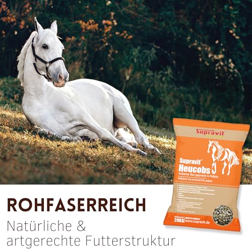 Supravit Heucobs für Pferde staubfrei | 20kg Pferdefutter | leckeres Heu gepresst in Pellets | gut geeignet für Allergiker | Auch ohne Einweichen zu verfüttern