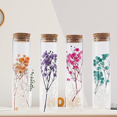 UYUYong 4 Stück Trockenblumen im Reagenzglas Cover