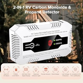 Nuleto RV Carbon Monoxide & Propane Gas Detector, 2 in 1 Dual CO/LP Gas Alarm with Separate LED Indicator Light, DC 12V with Bracket for Motorhome Travel Trailer, Motor Coach, Truck Camper, White