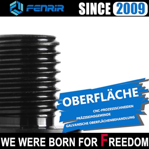 FENRIR Motorrad Spiegel Blindstopfen motorradspiegel spiegelabdeckung schrauben gewinde 304 Edelstahl Für M8XP1.25 Monster1200/1100/950/937/821/797/796/696 StreetfighterV4/V2/848 Diavel XDiavel