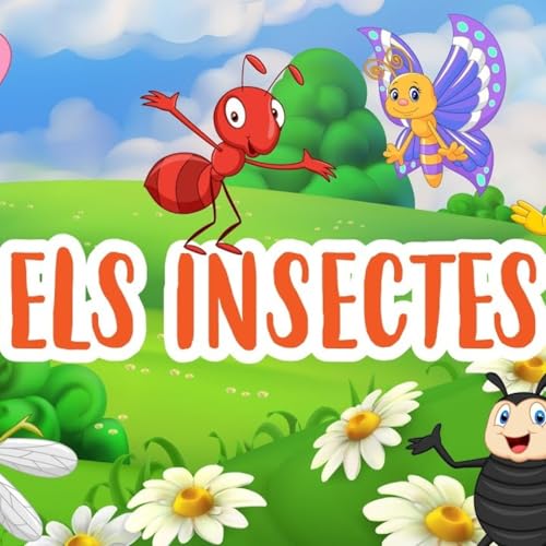 ELS INSECTES!!