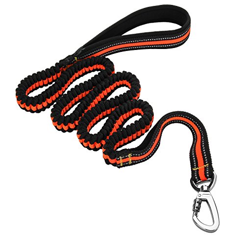 ITERY Dog Leash, Reflective Training Bungee Leash Elastic Dog Pet Lead Leash with Control Handle (Orange)