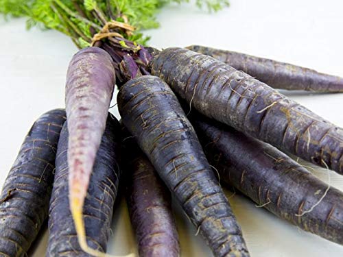 SimXotic Black Carrot Vegetables Premium Seeds (100 Seeds) (B08JKHFWG4) Amazon Price History, Amazon Price Tracker
