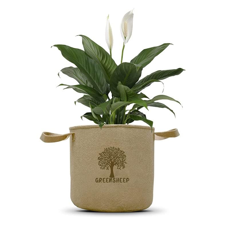 Image of GREENSHEEP Geo Fabric Grow Bags for Terrace Gardening, Balcony, Vegetables, Plants, Fruits and Flower with Handles - Breathable and Reusable Plant Bags for Indoor (Beige) (Pack of 3) (Size-8x8)