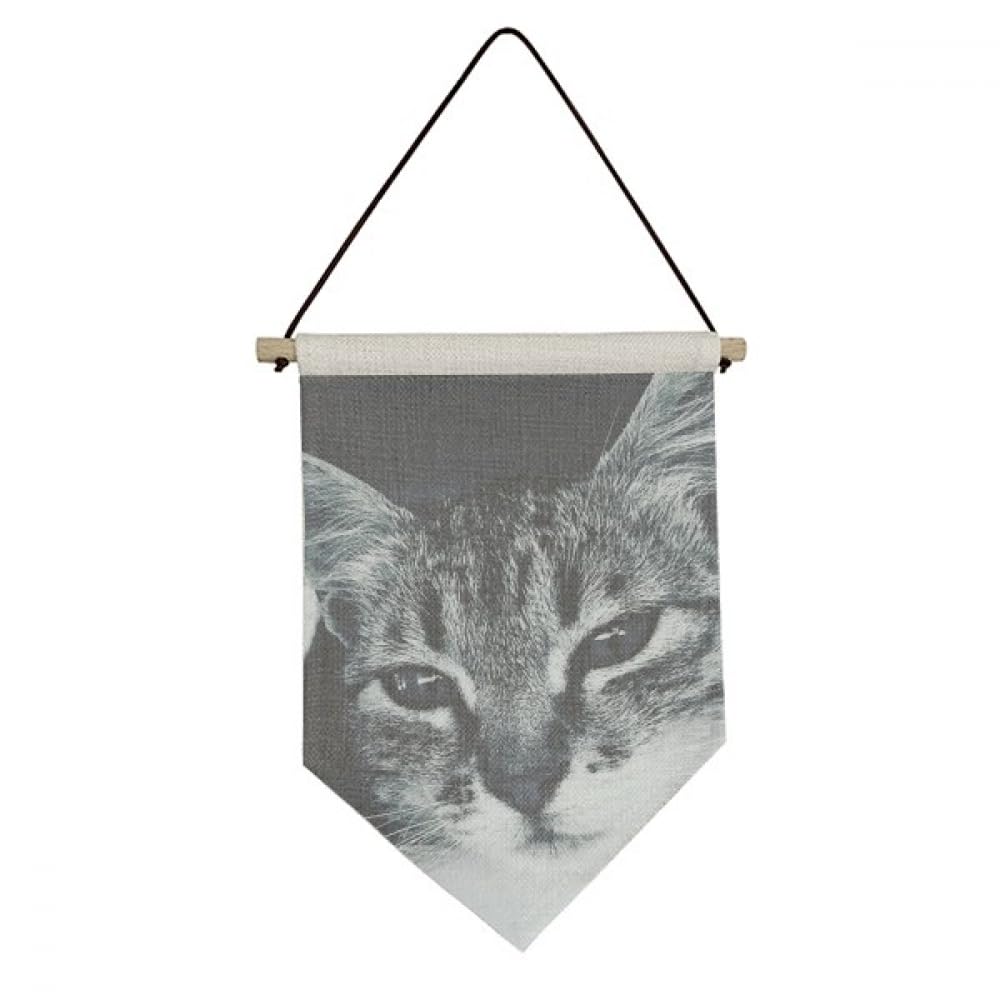 Drapeau chat gris suspendre pour cacher un mur abîmé facilement - 4