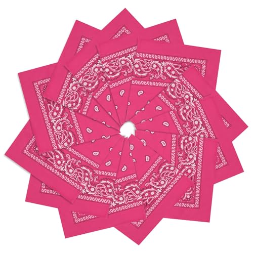 PJPSAA 12 Pack Bandanas Unisex Paisley Cowboy Bandanas Bulk Multi Purpose Headband Scarf for Men Women Costume