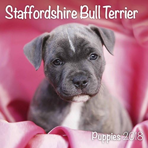 Staffordshire Bull Terrier Puppies 2018 (Mini Square) Unknown Binding – 1 Aug. 2017