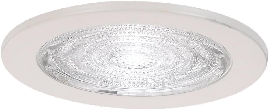 White Glass 5'' Indoor/Outdoor Recessed Trim Light