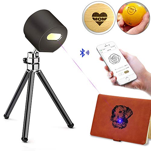 Wenzhi Macchina per incisione laser Registratore con Bluetooth Mini incisore laser per logo design fai da te, artigianato (B)