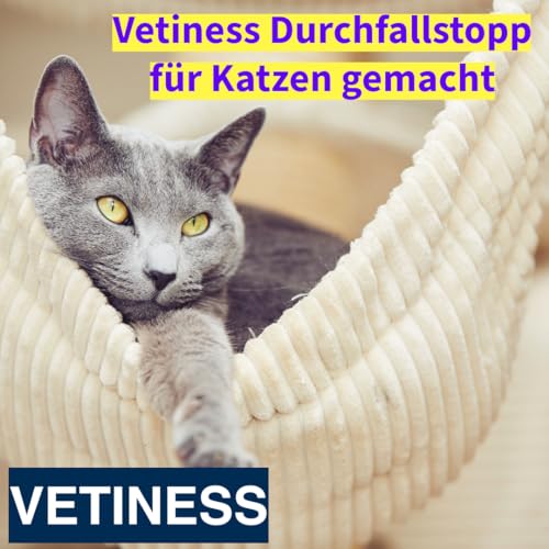 vetiness EnteroFit Durchfallstopp Paste für Hunde 15 ml – bei akutem Durchfall Hund und Darmstörungen – Diätergänzungsfuttermittel mit Aktivkohle, Bentonit und Probiotikum - Magen Darmflora Hund