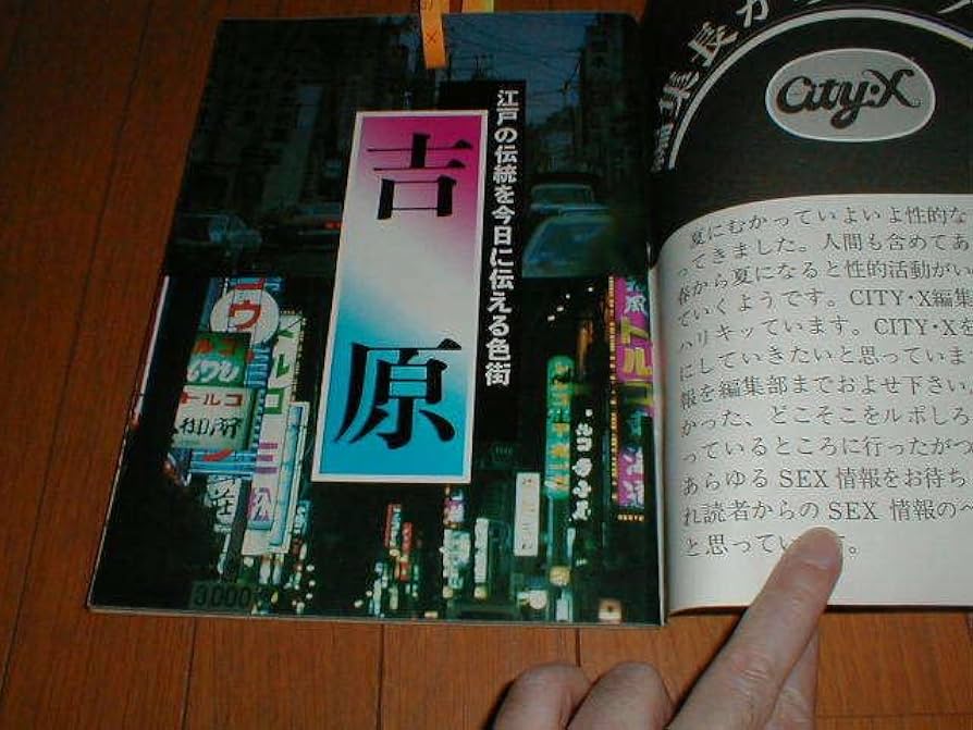 Amazon.co.jp: 昭和レトロ シティX 特集：吉原トルコ街10P