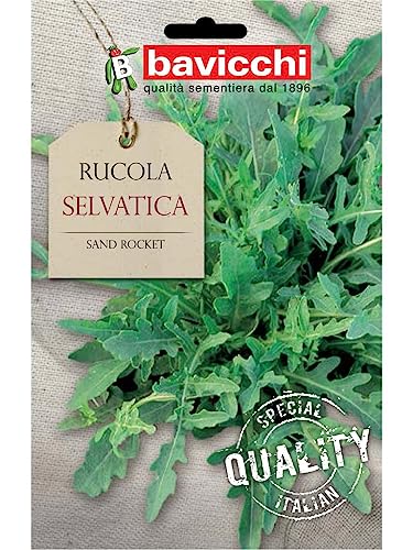 Bavicchi ZRU03 Busta semi Rucola selvatica
