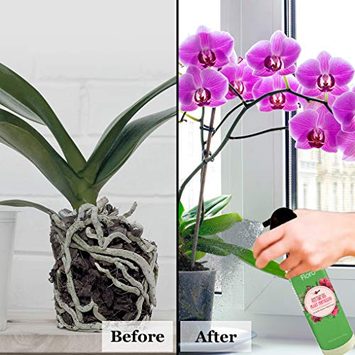 Floro Orchid Spray, 8 Ounce, Plant Food Mist, Enhances Growth, Provides Food, Energy And Moisture, No Mixing Or Diluting Needed, Ready To Use Formula For Indoor Potted Plants #TOP2