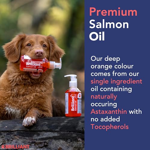 Hofseth Biocare Brilliant Salmon Oil for Dogs, Cats, Puppy, Horse, Ferret & Pets - Pure Omega 3, 6 & 9 Fish Oil Food Supplement | Treats Itchy Skin, Joint Care, Heart Health & Natural Coat (1 Litre) - Image 3