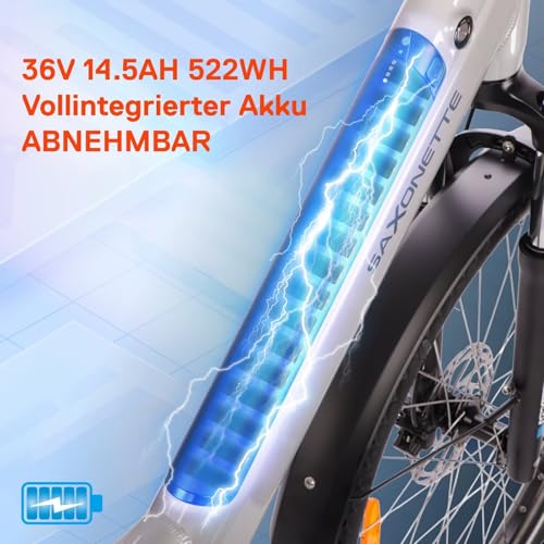 SAXONETTE E Bike Damen 28 Zoll mit Mittelmotor Drehmomentsensor, Elektro Fahrrad Erwachsene mit 36V 14.5Ah Akku, 8 Gang Kettenschaltung Tiefbau-Pedelec mit Hydraulische Scheibenbremse für Damen Herren – Bild 5
